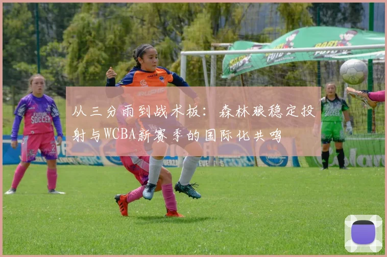 从三分雨到战术板：森林狼稳定投射与WCBA新赛季的国际化共鸣