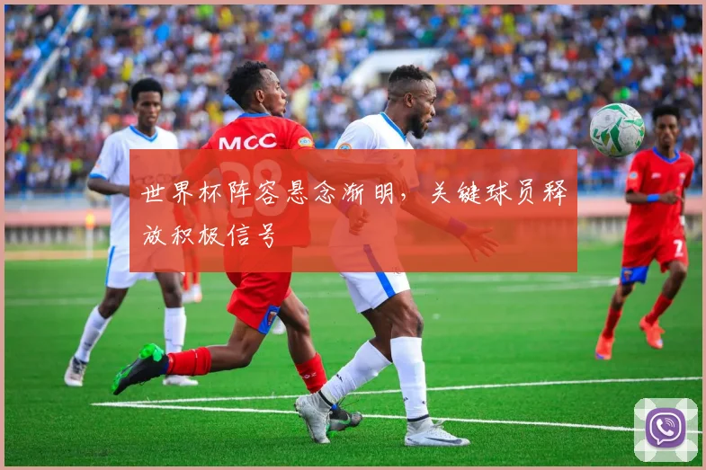 世界杯阵容悬念渐明，关键球员释放积极信号